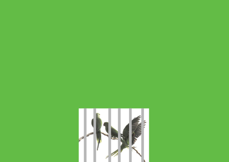 keetzine14
