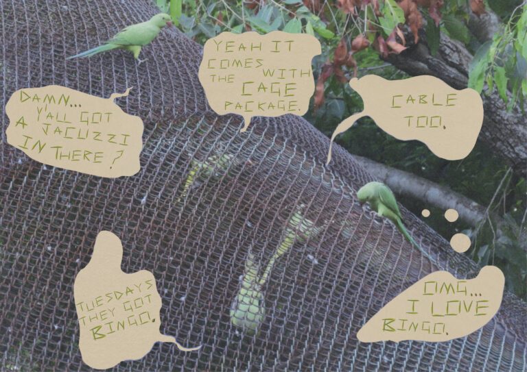 keetzine15
